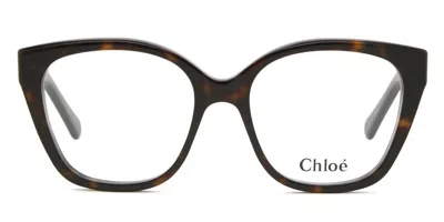 Chloé Ch0241o Women's Glasses, Tortoiseshell, Size 53 In Brown