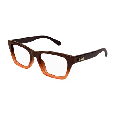 Chloé Ch0242o 008 Brown 53mm