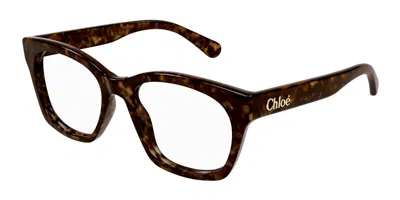 Chloé Ch0244o Women's Glasses, Tortoiseshell, Size 50 In Brown