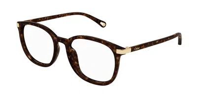 Chloé Ch0247oa Asian Fit 002 Women's Glasses Tortoiseshell Size 54 - Free Lenses - Blue Light Block Availa In Brown