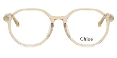 Chloé Ch0249oa Asian Fit Women's Glasses, Brown, Size 53