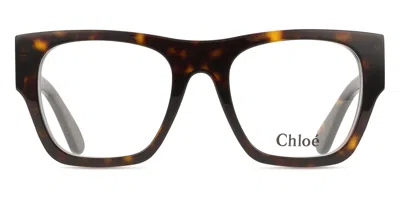 Chloé Ch0250o Women's Glasses, Tortoiseshell, Size 52 In Brown