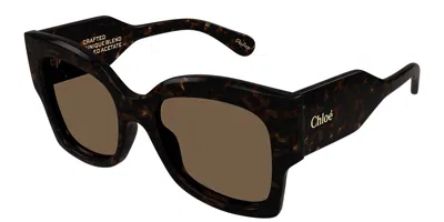 Chloé Ch0252s 002 Women's Sunglasses Tortoiseshell Size 55 In Brown