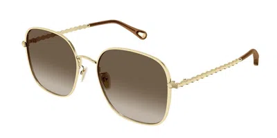 Chloé Ch0255sk Asian Fit 003 Women's Sunglasses Gold Size 57