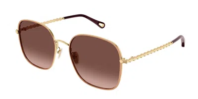 Chloé Ch0255sk Asian Fit 004 Women's Sunglasses Gold Size 57