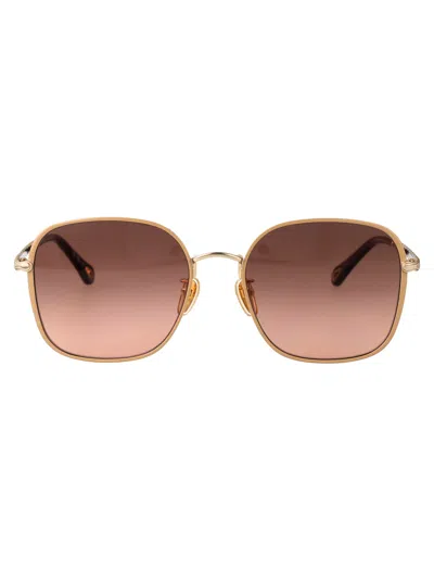 Chloé Ch0255sk Sunglasses In Gold-gold-brown