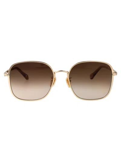 Chloé Ch0255sk Sunglasses In Gold-gold-brown