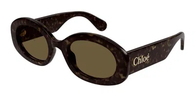Chloé Ch0258s 002 Women's Sunglasses Tortoiseshell Size 53 In Brown