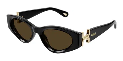 Chloé Ch0259s 001 Women's Sunglasses Black Size 52