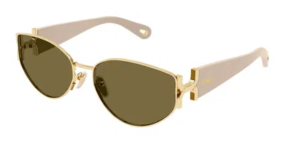 Chloé Ch0260s 003 Women's Sunglasses Gold Size 59