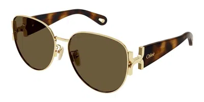 Chloé Ch0261sk Asian Fit 002 Women's Sunglasses Gold Size 61