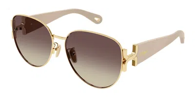 Chloé Ch0261sk Asian Fit 003 Women's Sunglasses Gold Size 61
