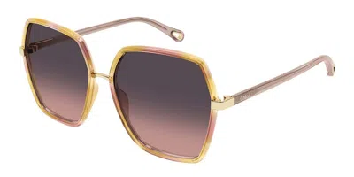 Chloé Ch0262s 003 Women's Sunglasses Tortoiseshell Size 58 In Brown
