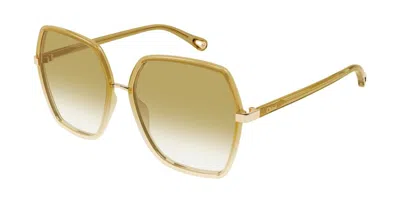 Chloé Ch0262s 006 Occhiali Da Sole Marroni Per Donna In Brown