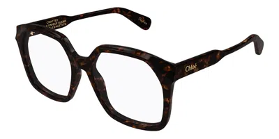 Chloé Ch0263o 009 Women's Glasses Tortoiseshell Size 53 - Free Lenses - Blue Light Block Available In Brown