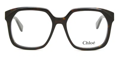 Chloé Ch0263o Women's Glasses, Tortoiseshell, Size 55 In Brown
