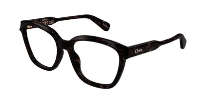 Chloé Ch0265o Women's Glasses, Tortoiseshell, Size 54 In Brown