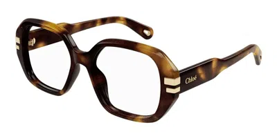 Chloé Ch0266o Women's Glasses, Tortoiseshell, Size 53 In Brown