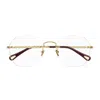 Chloé Ch0270o Linea Eyeglasses In Pattern