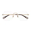 Chloé Ch0270o Linea Eyeglasses In Pattern