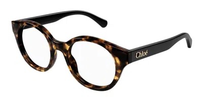 Chloé Ch0271o Women's Glasses, Tortoiseshell, Size 47 In Brown