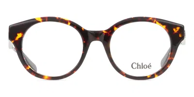 Chloé Ch0271o Women's Glasses, Tortoiseshell, Size 50 In Brown