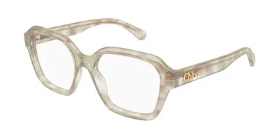 Chloé Ch0272o 007 Women's Glasses Tortoiseshell Size 53 - Free Lenses - Blue Light Block Available In Metallic