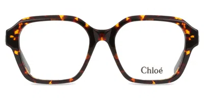 Chloé Ch0272o Women's Glasses, Tortoiseshell, Size 53 In Brown