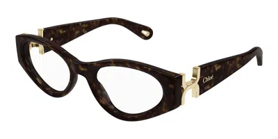Chloé Ch0273o Women's Glasses, Tortoiseshell, Size 53 In Brown