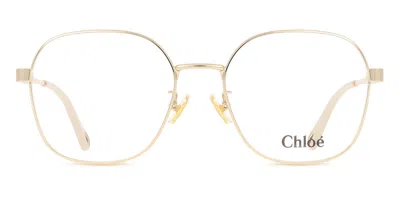 Chloé Ch0274oa Asian Fit Women's Glasses, Gold, Size 54