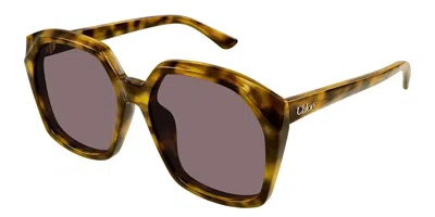 Chloé Ch0280s 004 Women's Sunglasses Tortoiseshell Size 57 In Brown