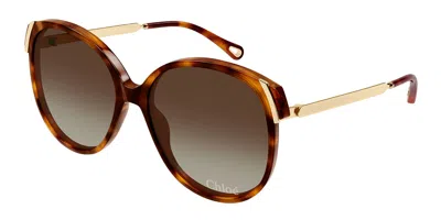 Chloé Ch0285s 002 Women's Sunglasses Tortoiseshell Size 58 In Brown