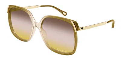 Chloé Ch0286s 008 Occhiali Da Sole Marroni Per Donna In Green