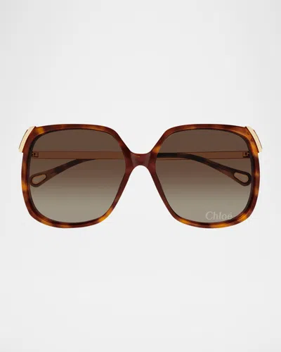 Chloé Ch0286s Round Acetate Sunglasses In Havana