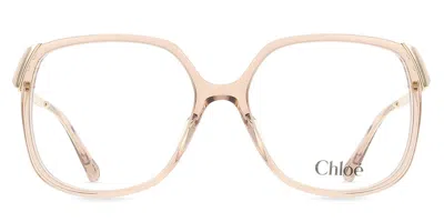 Chloé Ch0287o Women's Glasses, Brown, Size 56