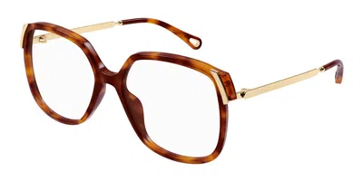 Chloé Ch0287o Women's Glasses, Tortoiseshell, Size 56 In Brown