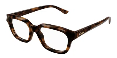 Chloé Ch0292o Women's Glasses, Tortoiseshell, Size 51 In Brown