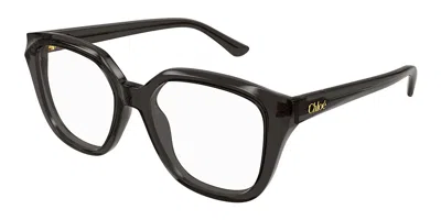 Chloé Ch0293o Women's Glasses, Clear, Size 53