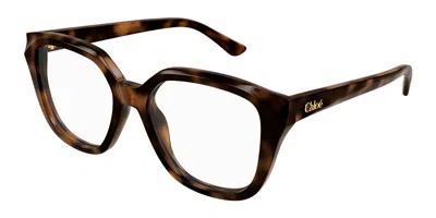 Chloé Ch0293o Women's Glasses, Tortoiseshell, Size 53 In Brown