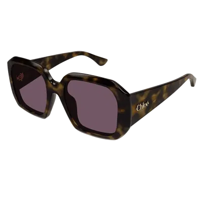 Chloé Ch0300 S Sunglasses In Black