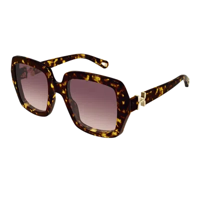 Chloé Ch0301 S Sunglasses In Brown