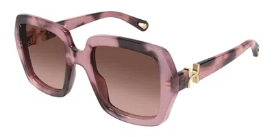 Chloé Ch0301s 007 Women's Sunglasses Tortoiseshell Size 52 In Brown