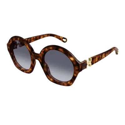 Chloé Ch0302 S Sunglasses In Brown