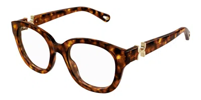Chloé Ch0304o Women's Glasses, Tortoiseshell, Size 51 In Brown