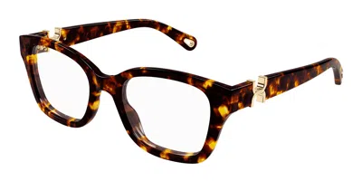 Chloé Ch0305o Women's Glasses, Tortoiseshell, Size 51 In Brown