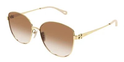 Chloé Ch0306sk Asian Fit 004 Women's Sunglasses Gold Size 59 In Brown
