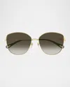 Chloé Ch0306sk Butterfly Acetate Sunglasses In Shiny Classic Gold Chl
