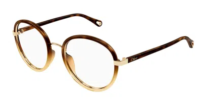 Chloé Ch0308o Women's Glasses, Tortoiseshell, Size 53