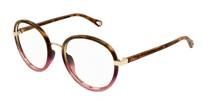 Chloé Ch0308o Women's Glasses, Tortoiseshell, Size 53