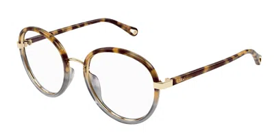 Chloé Ch0308o Women's Glasses, Tortoiseshell, Size 53 In Multi